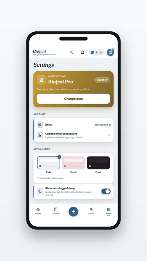 Settings, with the plan, the account and the three themes to choose from
